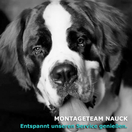 Logo von Montageteam Nauck